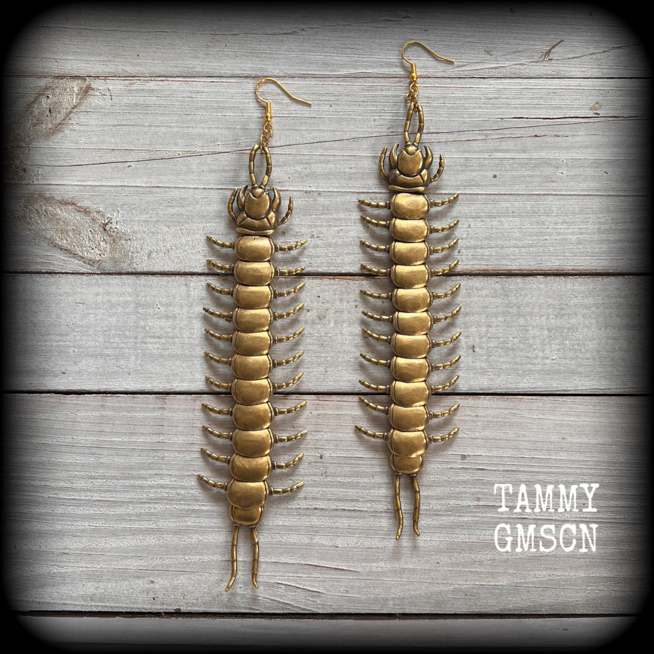 Brass Millipede earrings Bugs earrings Centipede earrings Insects earrings Insect earrings Oversize earrings Pierced ears Stretched lobes Gauged ears Gauged earrings Curiosities Entomology Mossgoth Gothic jewellery Whimsigoth Cottagecore Goblincore