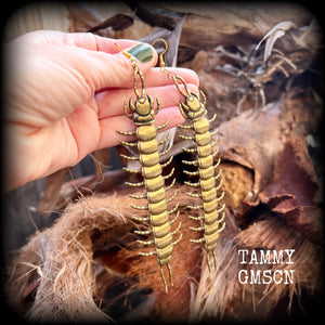 Brass Millipede earrings Bugs earrings Centipede earrings Insects earrings Insect earrings Oversize earrings Pierced ears Stretched lobes Gauged ears Gauged earrings Curiosities Entomology Mossgoth Gothic jewellery Whimsigoth Cottagecore Goblincore