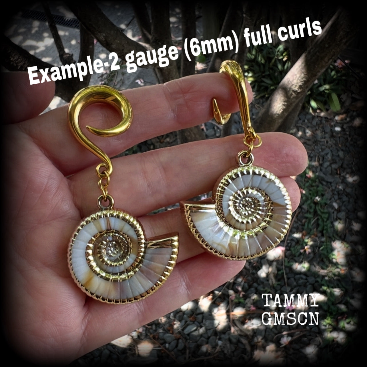 Faux nautilus shell gauged earrings-Sea hag earrings