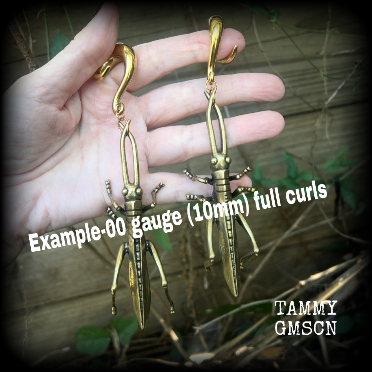 Cricket ear weights-Brass insect ear hangers