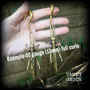 Cricket ear weights-Brass insect ear hangers