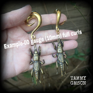 Mole cricket gauged earrings-Brass insect ear weights