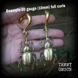 Brass rhinoceros elephant beetle gauged earrings-Insect ear weights