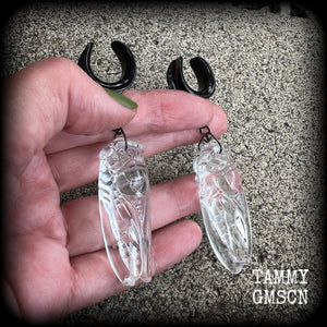 Clear quartz cicada gauged earrings