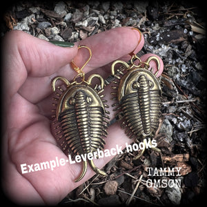 These gorgeous brass trilobite fossil earrings weigh approx. 29 grams each and measure just under 8cms from tip to tip.
This pair have been made with antique gold leverback hooks, suitable for pierced ears.