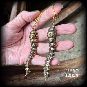 Brass caterpillar earrings-Insect earrings