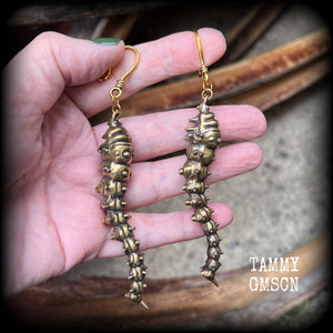 Brass caterpillar earrings-Insect earrings