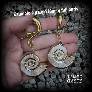 Faux nautilus shell gauged earrings-Sea hag earrings
