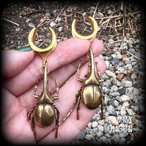 Brass rhinoceros beetle ear hangers Insect ear weights 5/8" 16mm gauge ear weights Brass ear weights 6g 2g 0g 00g 1/2" 9/16" 5/8" 3/4" 7/8" 1" 1.10" 1.18" Entomology Curiosities Shadow box Insect jewelry Bugs jewelry Moss goth