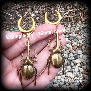 Brass rhinoceros beetle ear hangers Insect ear weights 5/8" 16mm gauge ear weights Brass ear weights 6g 2g 0g 00g 1/2" 9/16" 5/8" 3/4" 7/8" 1" 1.10" 1.18" Entomology Curiosities Shadow box Insect jewelry Bugs jewelry Moss goth