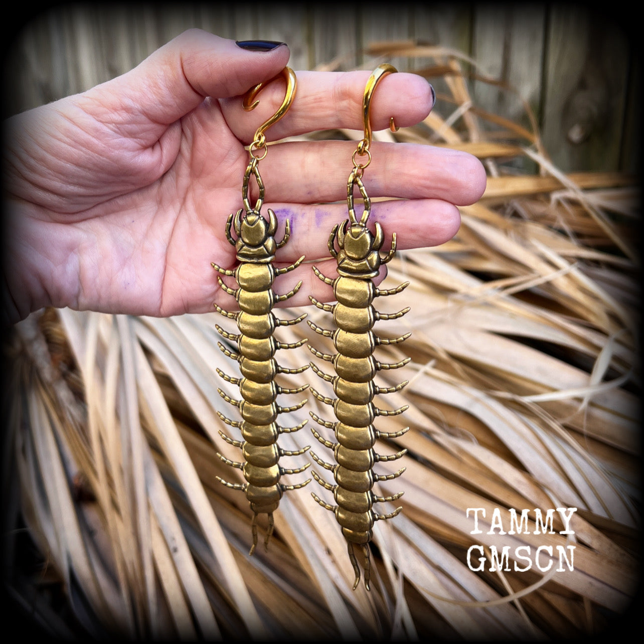 Brass centipede ear hangers Millipede earrings Insect ear weights 6 gauge 4mm ear weights 6mm 8mm 10mm 12mm 14mm 16mm 19mm 22mm 25mm Stretched ears Stretched lobes Invertebrates Gauged earrings Gauged ears 2g 0g 00g 1/2" 9/16" 5/8" 3/4" 7/8" 1”