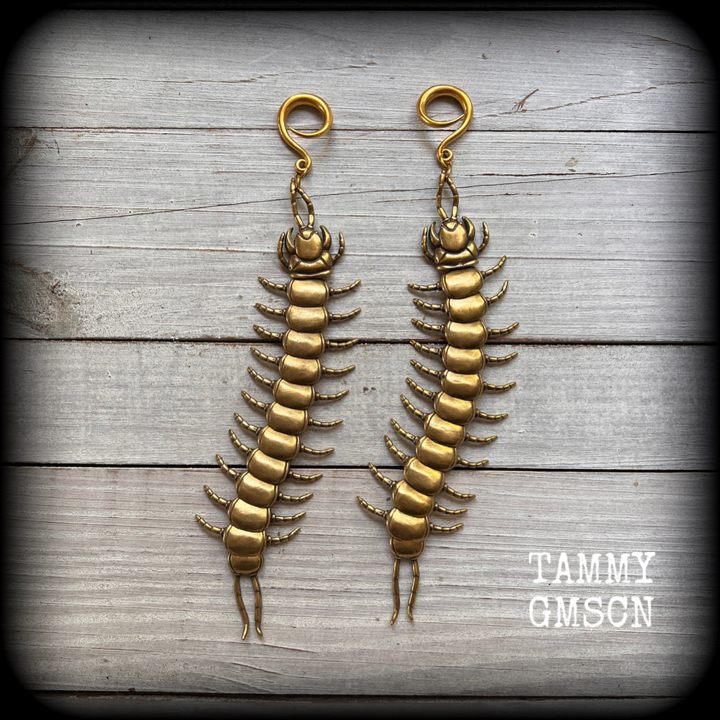 Brass centipede ear hangers Millipede earrings Insect ear weights 6 gauge 4mm ear weights 6mm 8mm 10mm 12mm 14mm 16mm 19mm 22mm 25mm Stretched ears Stretched lobes Invertebrates Gauged earrings Gauged ears 2g 0g 00g 1/2" 9/16" 5/8" 3/4" 7/8" 1”