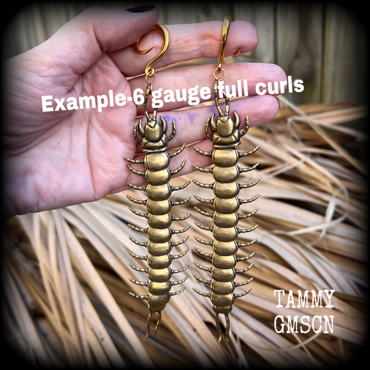 Brass centipede ear hangers Millipede earrings Insect ear weights 6 gauge 4mm ear weights 6mm 8mm 10mm 12mm 14mm 16mm 19mm 22mm 25mm Stretched ears Stretched lobes Invertebrates Gauged earrings Gauged ears 2g 0g 00g 1/2" 9/16" 5/8" 3/4" 7/8" 1”