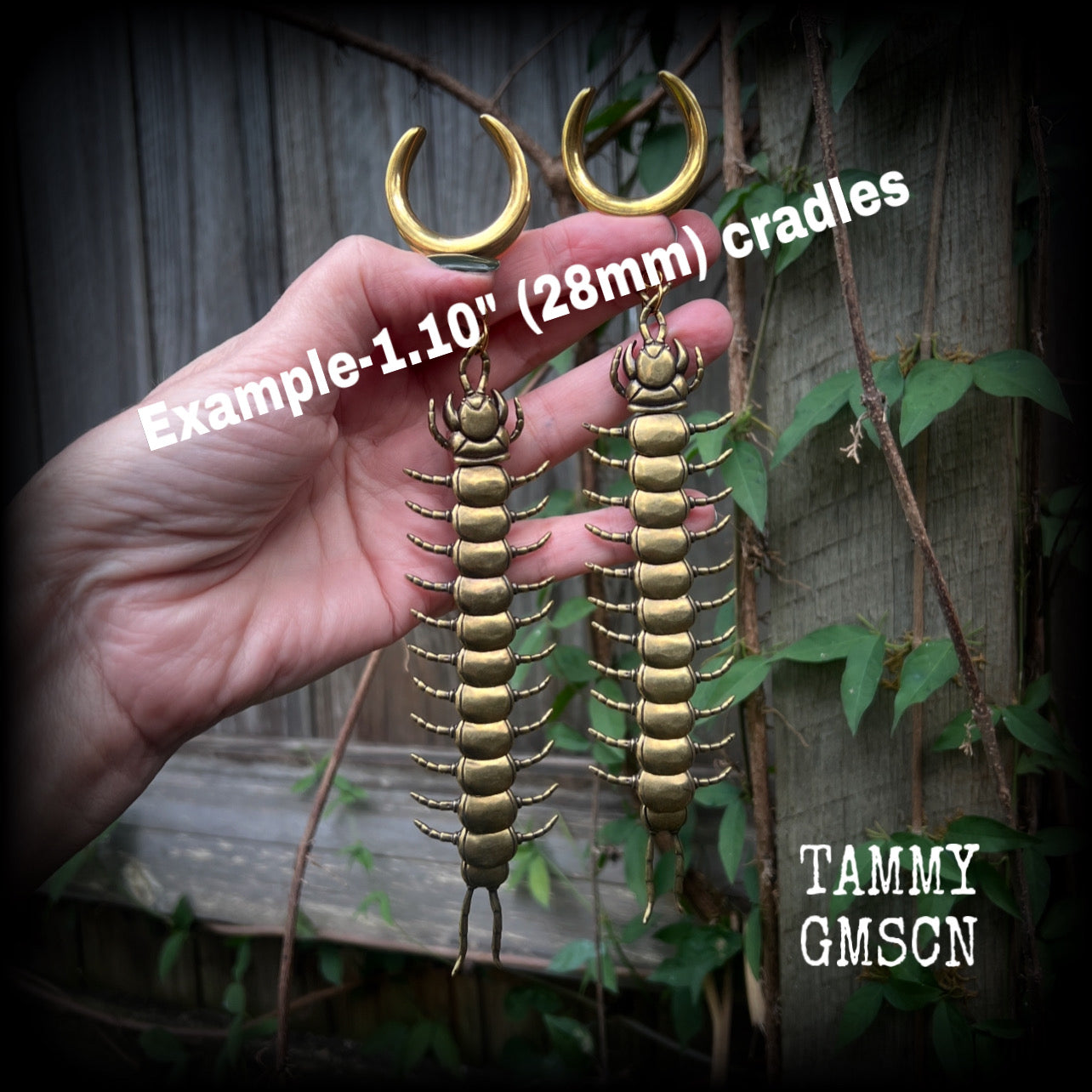 Brass centipede gauged earrings-Insect ear weights