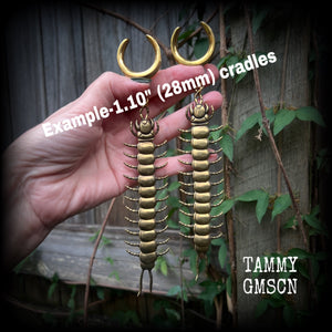 Brass centipede gauged earrings-Insect ear weights