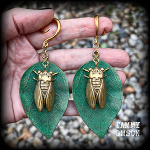 Brass cicada ear hangers Insect ear weights 6 gauge ear weights Brass ear weights Gauged earrings 6mm 8mm 10mm 12mm 14mm 16mm 19mm 22mm 25mm 28mm 30mm Stretched ears Stretched lobes Insect earrings Bugs earrings Cottagecore earrings Fairycore earring