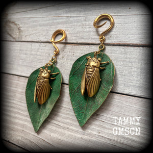 Brass cicada ear hangers Insect ear weights 6 gauge ear weights Brass ear weights Gauged earrings 6mm 8mm 10mm 12mm 14mm 16mm 19mm 22mm 25mm 28mm 30mm Stretched ears Stretched lobes Insect earrings Bugs earrings Cottagecore earrings Fairycore earring