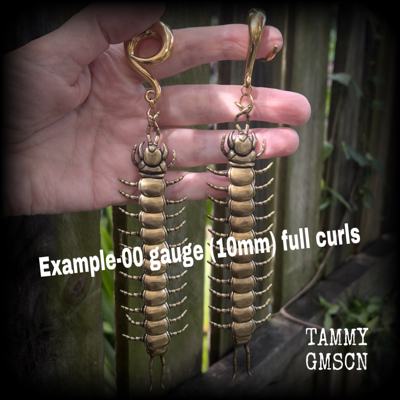 Brass centipede gauged earrings-Insect ear weights