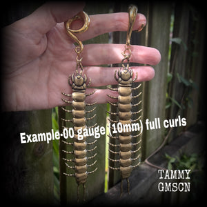 Brass centipede gauged earrings-Insect ear weights