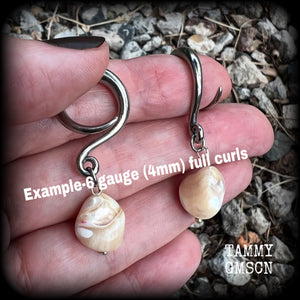 These gorgeous gauged earrings feature beautiful polished sea shell nuggets, weighing in at just 5 grams a piece, and measuring approx 5.5cms from tip to tip.
This pair has been made on 6 gauge (4mm) surgical steel full curl hooks