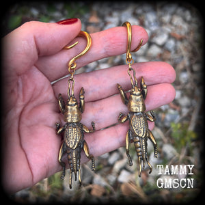 Brass ear hangers Mole cricket gauged earrings Insect ear weights 6 gauge ear weights Gauges 2g 0g 00g 1/2 9/16 5/8 3/4" 7/8 1” 4mm 6mm 8mm 10mm 12mm 14mm 16mm 19mm 22mm 25mm 28mm 30mm Gauged earrings Gauged ears Cottagecore Forestcore Forestpunk