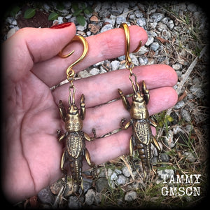 Brass ear hangers Mole cricket gauged earrings Insect ear weights 6 gauge ear weights Gauges 2g 0g 00g 1/2 9/16 5/8 3/4" 7/8 1” 4mm 6mm 8mm 10mm 12mm 14mm 16mm 19mm 22mm 25mm 28mm 30mm Gauged earrings Gauged ears Cottagecore Forestcore Forestpunk