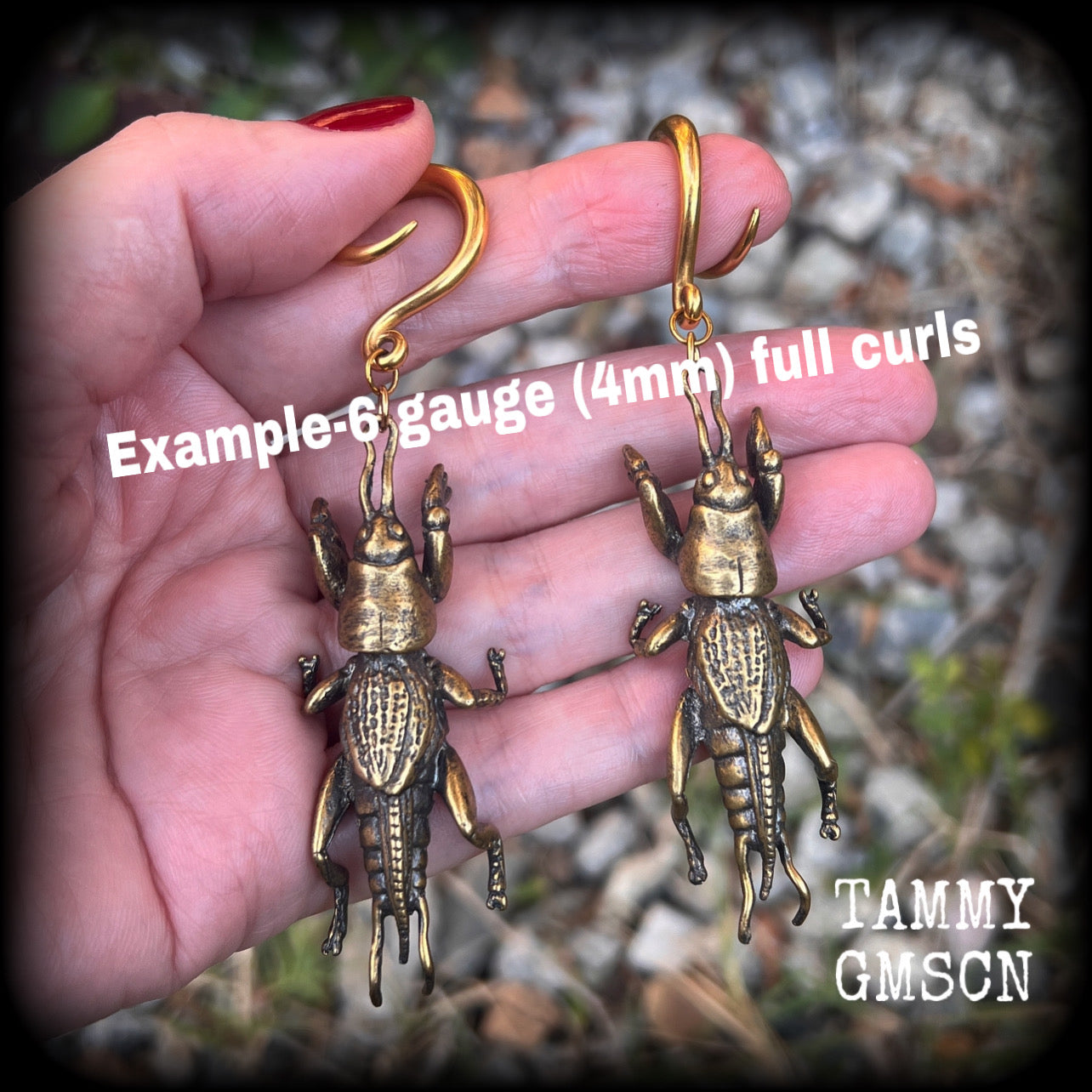 Brass ear hangers Mole cricket gauged earrings Insect ear weights 6 gauge ear weights Gauges 2g 0g 00g 1/2 9/16 5/8 3/4" 7/8 1” 4mm 6mm 8mm 10mm 12mm 14mm 16mm 19mm 22mm 25mm 28mm 30mm Gauged earrings Gauged ears Cottagecore Forestcore Forestpunk