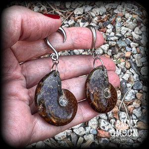 Ammonite gauged earrings Ammonite ear weights Fossil ear hangers 6 gauge ear weights 6g 2g 0g 00g 1/2" 9/16" 5/8" 3/4" 7/8" 1" 1.10" 1.18" 4mm 6mm 8mm 10mm 12mm 14mm 16mm 19mm 22mm 25mm 28mm 30mm Stretched ears Stretched lobes Gauged ears Ear gauges