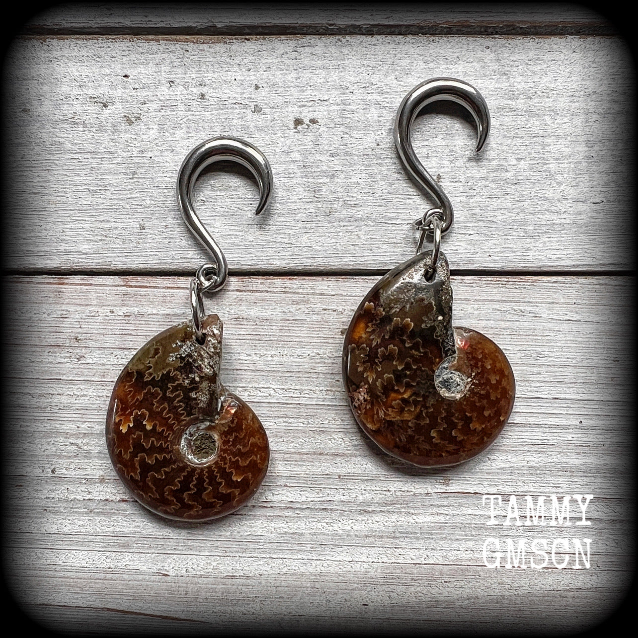 Ammonite gauged earrings Ammonite ear weights Fossil ear hangers 6 gauge ear weights 6g 2g 0g 00g 1/2" 9/16" 5/8" 3/4" 7/8" 1" 1.10" 1.18" 4mm 6mm 8mm 10mm 12mm 14mm 16mm 19mm 22mm 25mm 28mm 30mm Stretched ears Stretched lobes Gauged ears Ear gauges