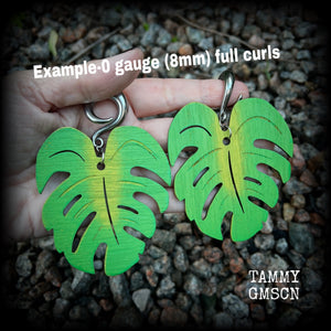 Featuring big beautiful forest green balsa wood monstera leaves, these gorgeous gauged earrings measure just on 10 cms from tip to tip, and weigh approx 20 grams each.  This pair have been made on 0 gauge (8mm) surgical steel full curl hooks, to be worn through stretched lobes.