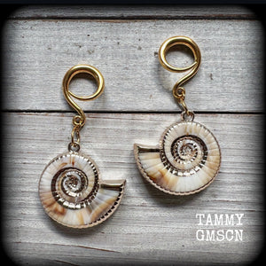 These gauged earrings feature gorgeous acrylic nautilus sea shells, super lightweight- weighing 9 grams each, and nice and dangly, measuring just under 7cms from tip to tip.
These beautiful earrings have been made on 6 gauge (4mm) surgical steel full curl hooks, to be worn in stretched lobes.
