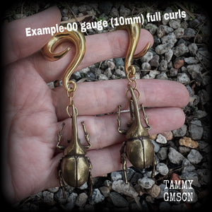 These awesome brass rhinoceros beetle ear hangers feature gorgeous brass rhinoceros beetle pendants, measuring just on 8cms from tip to tip, and weighing approx 23 grams each. This pair has been made on 00 gauge (10mm) surgical steel full curls.