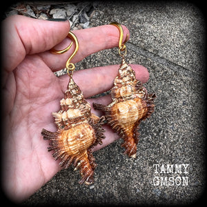 Conch shell body jewelry Shell ear gauges Shell tunnels Shell tunnel dangles Boho jewelry Gypsy boho jewellery Shell ear weights 6 gauge 2 gauge 0 gauge 00 gauge Stretched ears Stretched lobes Gauged ears 12mm 14mm 16mm 19mm 22mm 25mm 28mm 30mm 