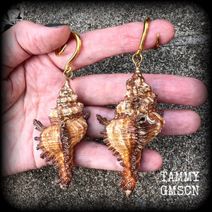 Conch shell body jewelry Shell ear gauges Shell tunnels Shell tunnel dangles Boho jewelry Gypsy boho jewellery Shell ear weights 6 gauge 2 gauge 0 gauge 00 gauge Stretched ears Stretched lobes Gauged ears 12mm 14mm 16mm 19mm 22mm 25mm 28mm 30mm 