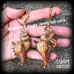 Conch shell body jewelry Shell ear gauges Shell tunnels Shell tunnel dangles Boho jewelry Gypsy boho jewellery Shell ear weights 6 gauge 2 gauge 0 gauge 00 gauge Stretched ears Stretched lobes Gauged ears 12mm 14mm 16mm 19mm 22mm 25mm 28mm 30mm 