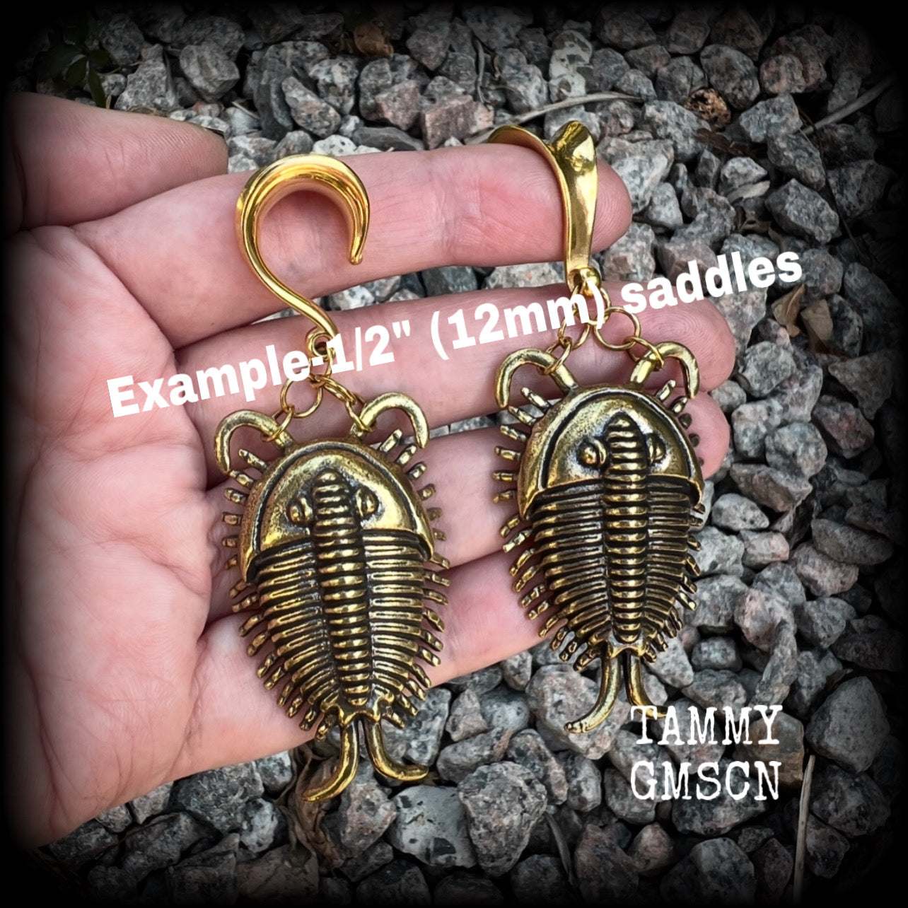 Brass trilobite beetle gauged earrings-Fossil ear weights