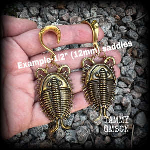 Brass trilobite beetle gauged earrings-Fossil ear weights