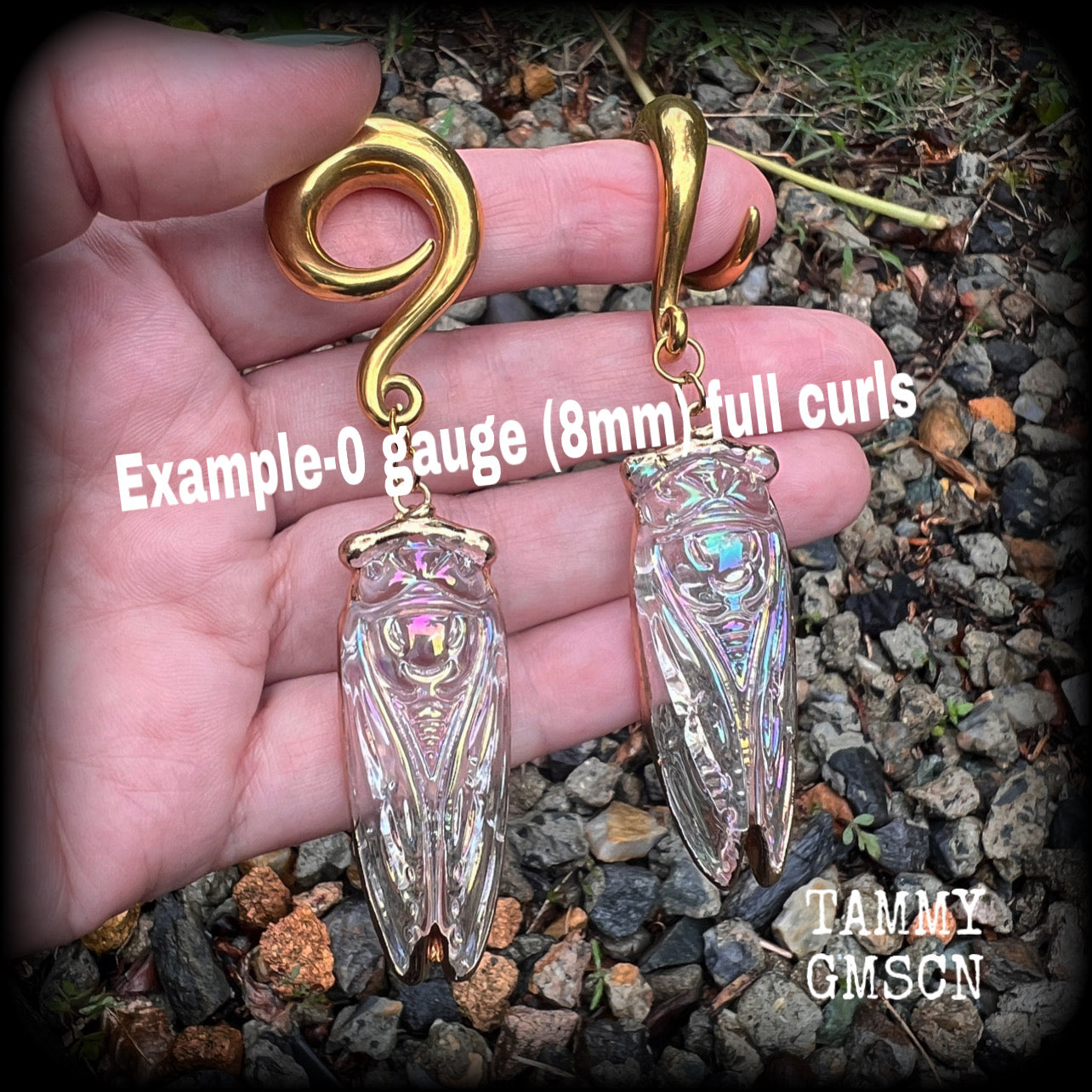 Cicada ear gauges 