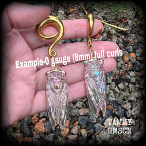 Cicada ear gauges 