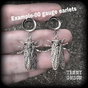 Insect ear gauges 