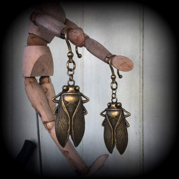 Bronze cicada ear hangers