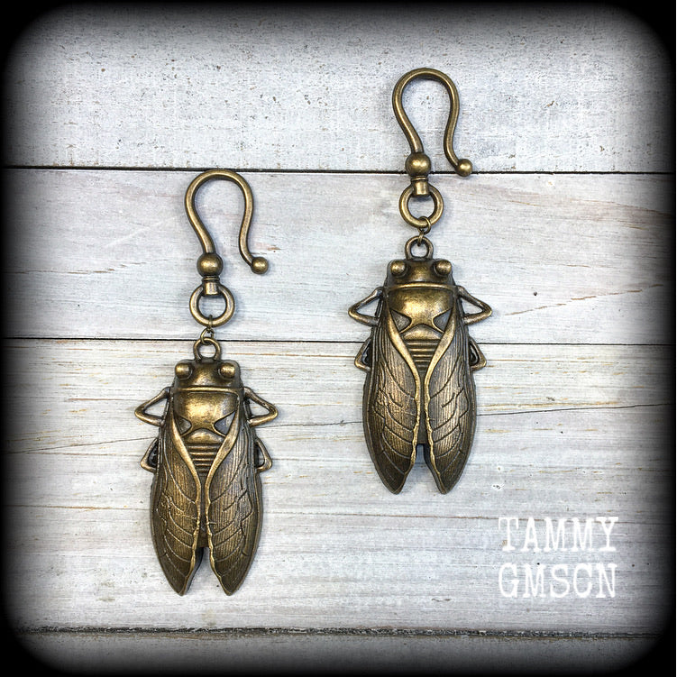 Bronze cicada earrings