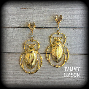 Scarab beetle earrings 