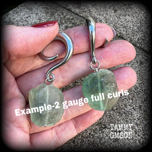 2 gauge ear weights