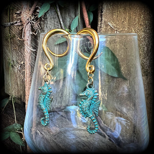 Seahorse gauges