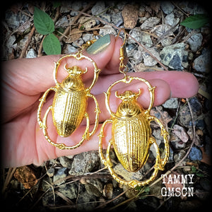 This is a pair of beautiful big antique gold scarab beetle earrings, made on french hooks for pierced ears. 