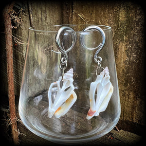 Beach wedding gauges