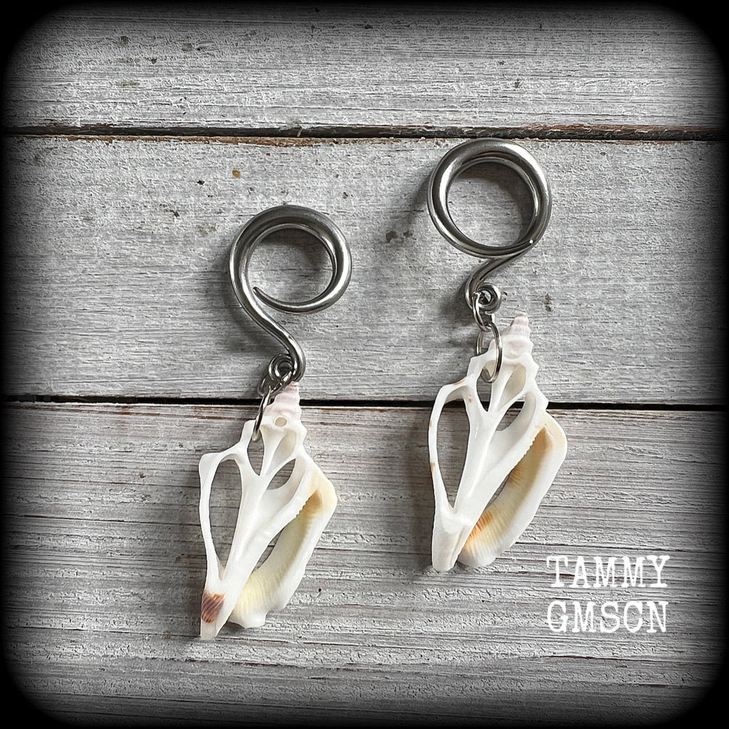 Shell earrings 