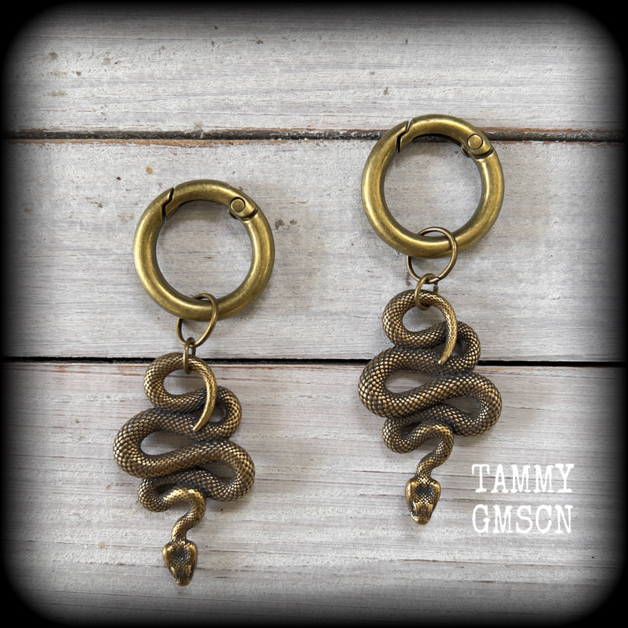 Serpent ear hangers