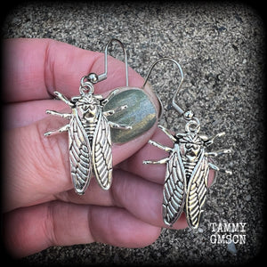 Entomologist earrings 